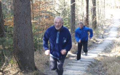 Definition Training